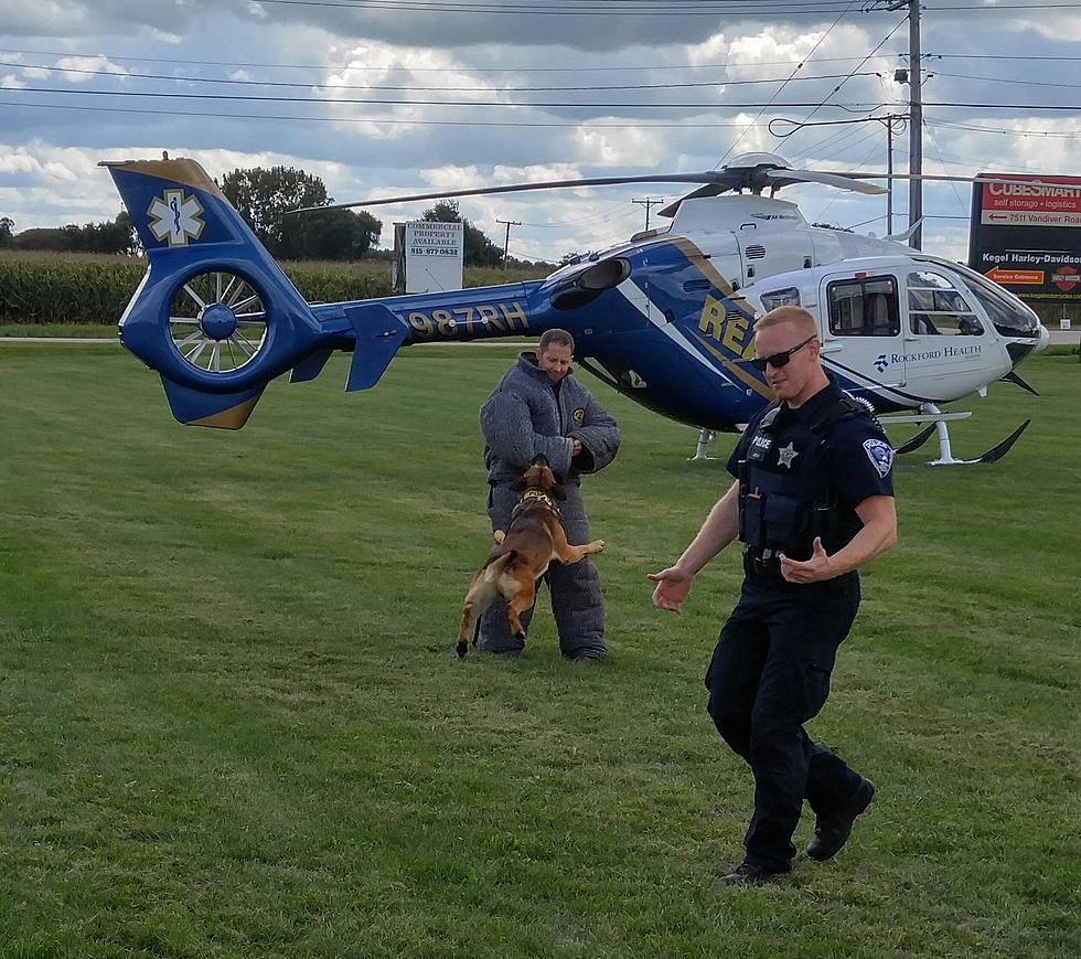 Five Things I Learned About Sully The Rockford K-9