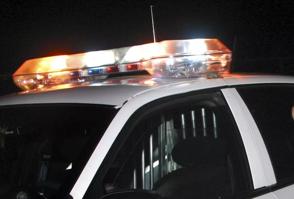 Supreme Court Upholds Use of Drug-Sniffing Dogs In Traffic Stops