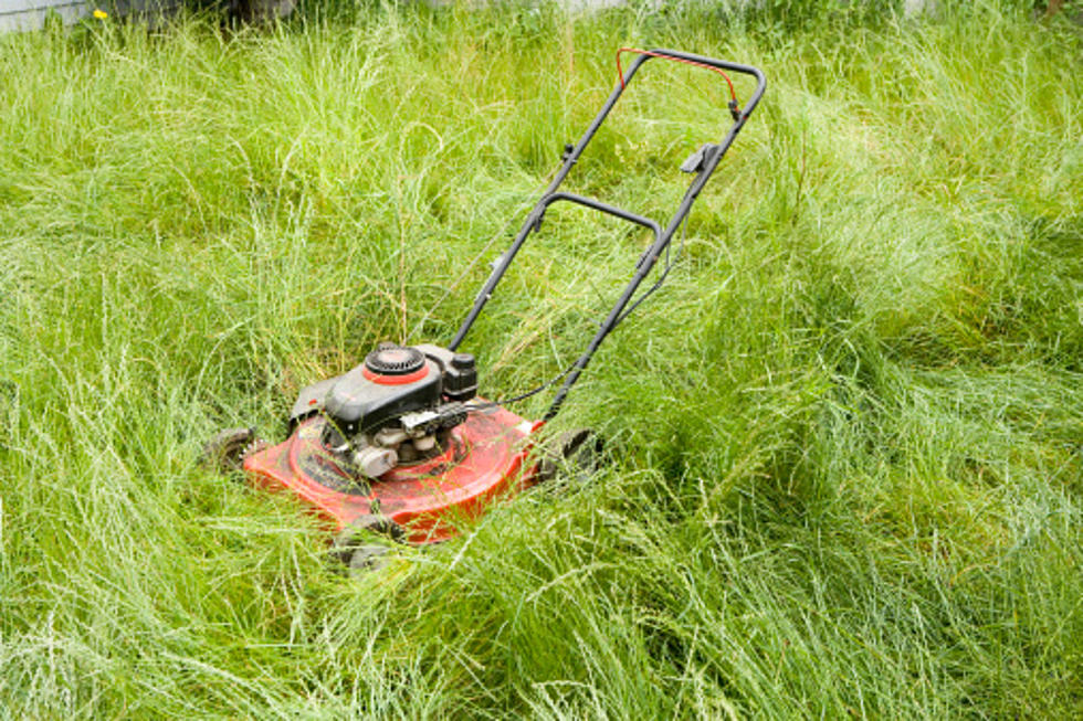 Better Mow That Lawn Because You Might Be Breaking Rockford Code
