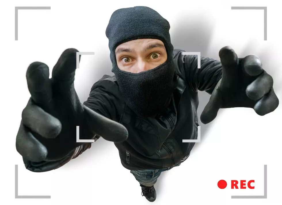 Some Rockford Guy Was Caught On Camera Stealing A Gazebo And We Can't Deal