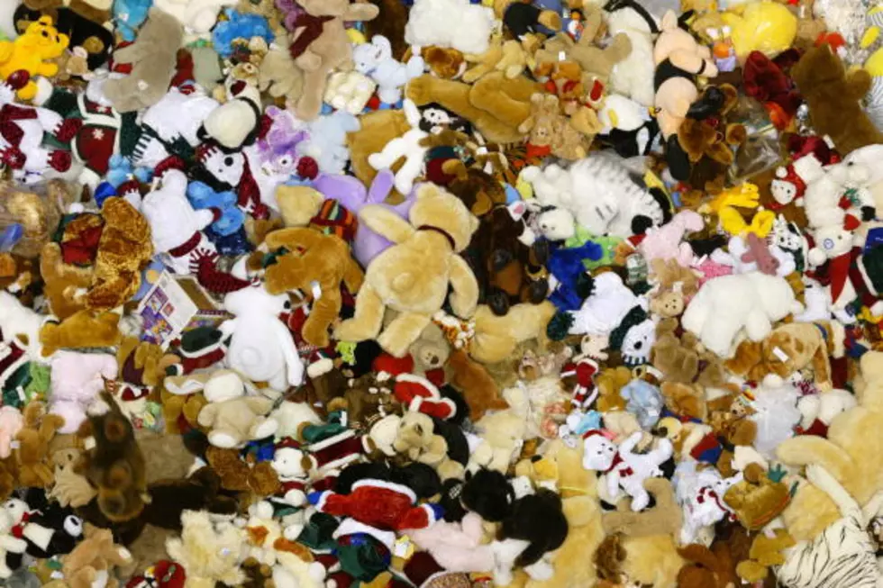 Close to 4,000 Stuffed Animals Donated by the Rockford IceHogs