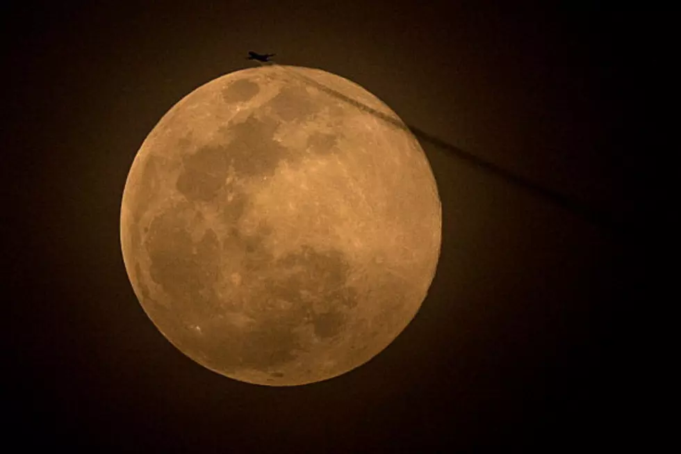 10 Things That Happen During a Full Moon