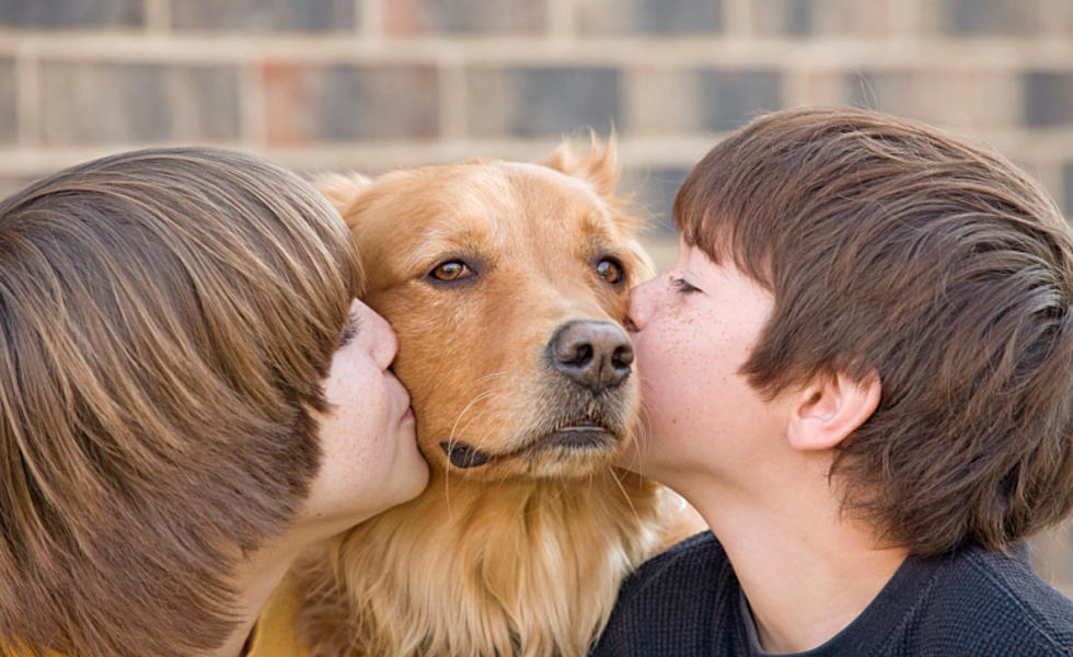 Meyer’s Farm Is Hosting A Dogs Day Out This Weekend