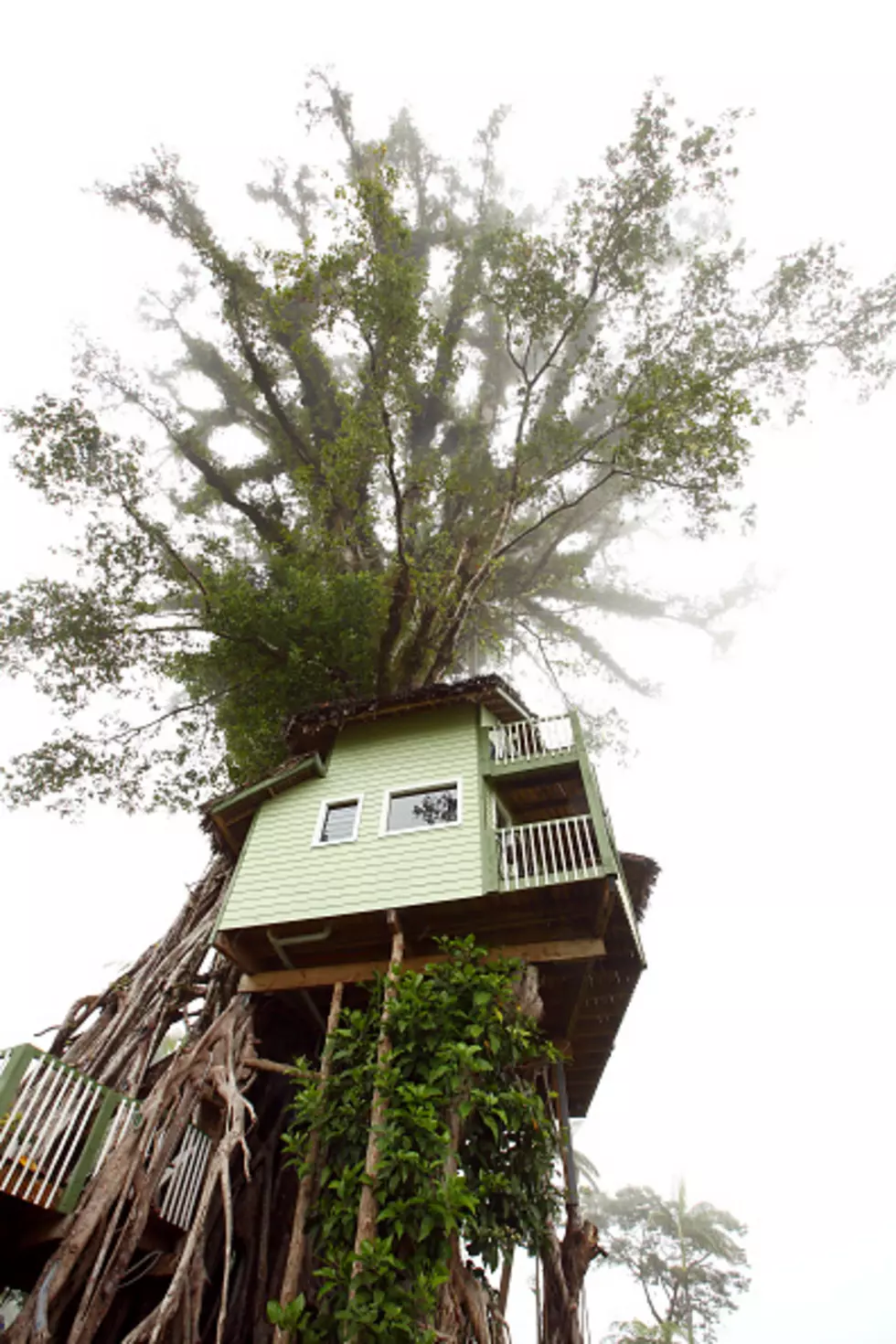 Treehouse Adventure Exhibit Now at the Discovery Center