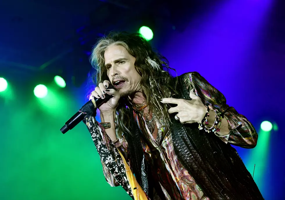 Steven Tyler From Aerosmith Can Now Officiate Your Wedding