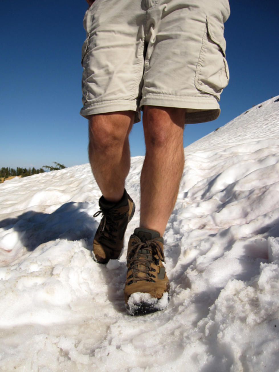 Year-Round Shorts Guy Population at All Time Low Thanks to Record Cold Temps