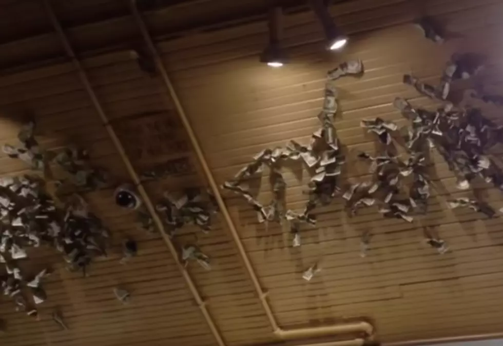 The Money Is Coming Down Off The Ceiling Next Week at Baumgartner&#8217;s (Video)