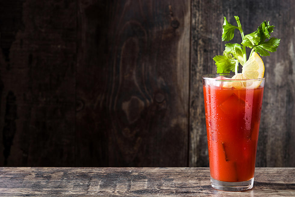 Bloody Mary Pickle Jello Shots