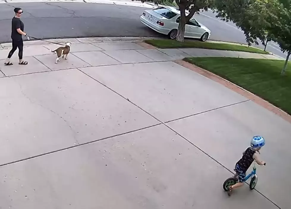 What to do if Kids Are Riding Bikes in Your Driveway, Let Them. (Video)