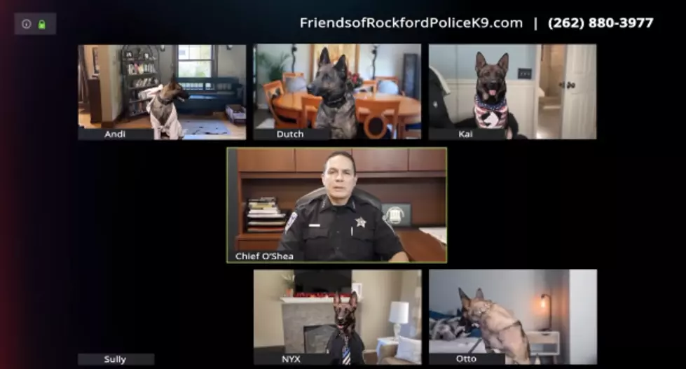 Rockford Police Dept K-9 Zoom is The Best Thing on Social Media (Video)