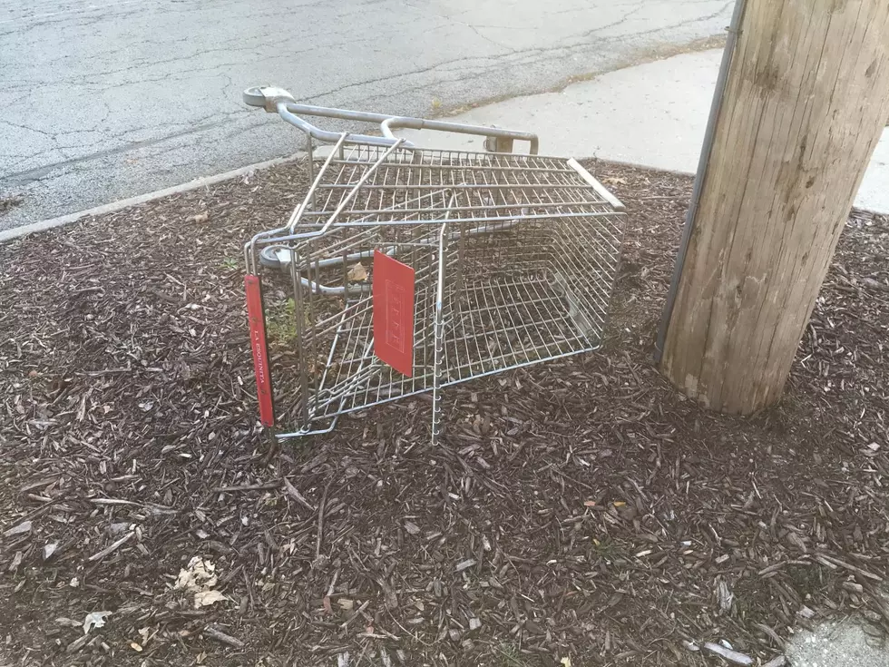 Shopping Cart Found In Rockford Neighborhood