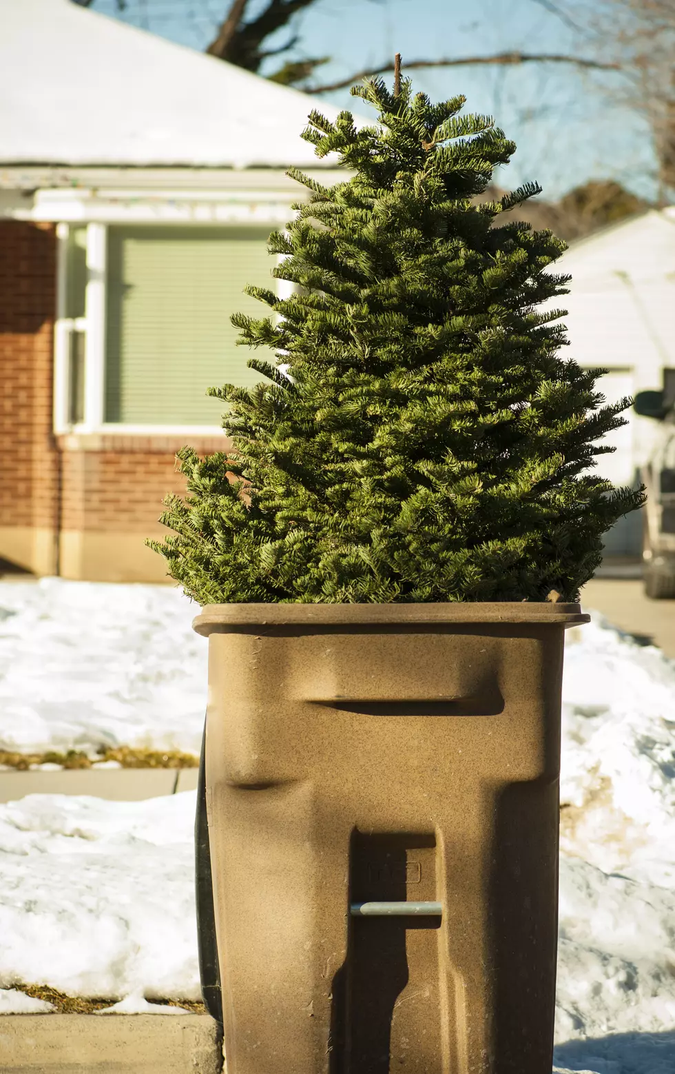 When Is It Bad Luck to Take Down Your Christmas Tree?