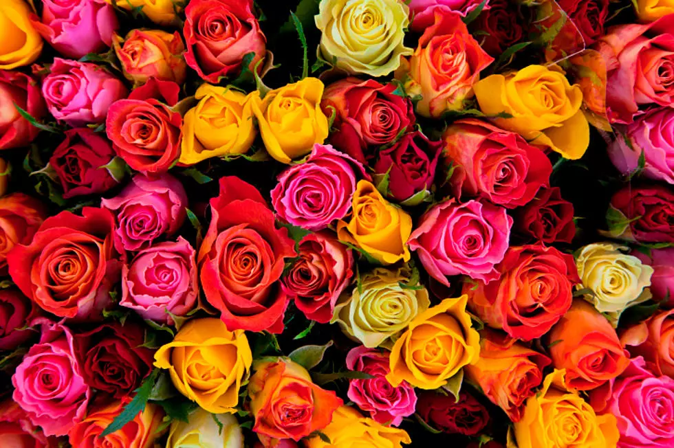 Sending Roses For Valentine&#8217;s? Here&#8217;s Six Colors and What They Mean.