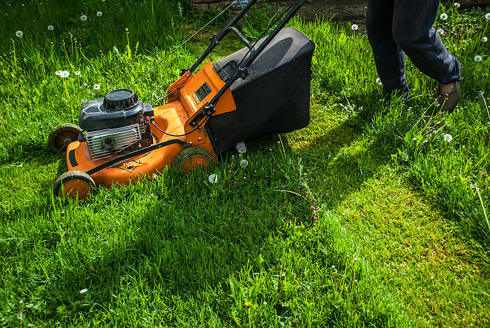 Winning $10K Could Cover Lots Of Mowing For Rockford Resident