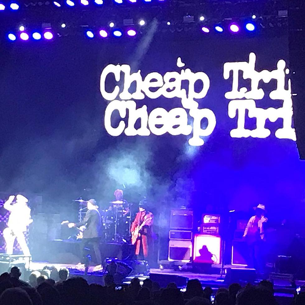 Memorable Outdoor Cheap Trick Shows In The Rockford Area