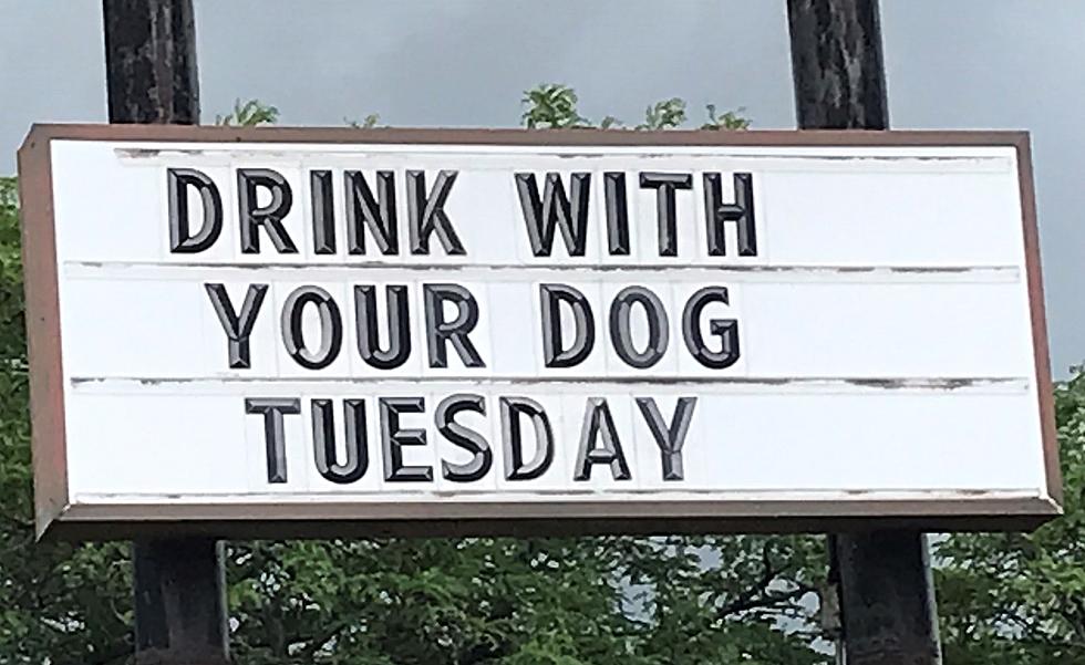 Rockford Bar To Host Drink With Your Dog Night On Tuesdays