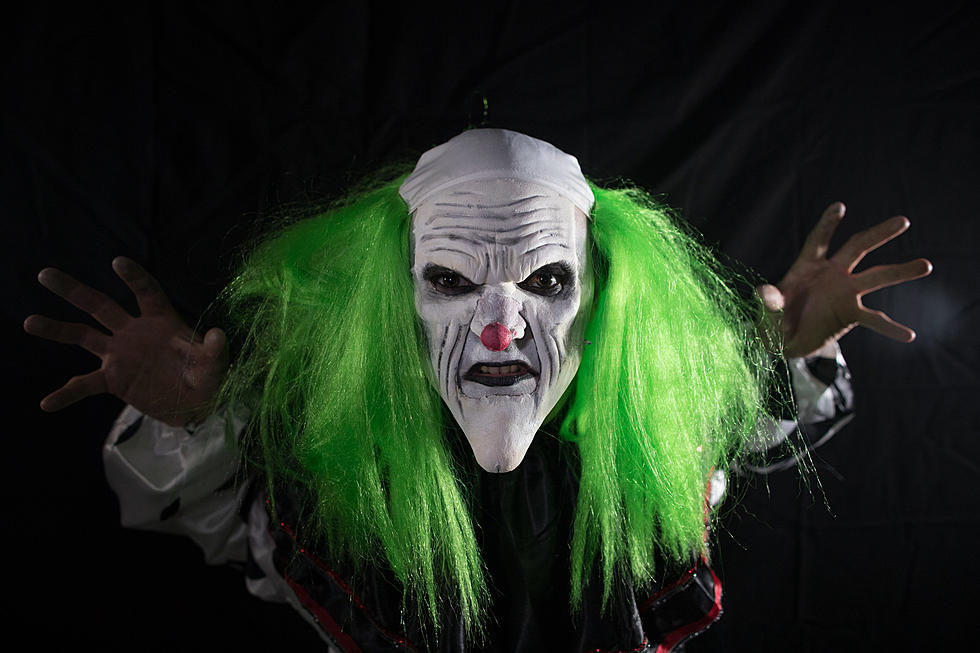 Don't Fear The Freaks & Clowns Festival In Rockford This Saturday