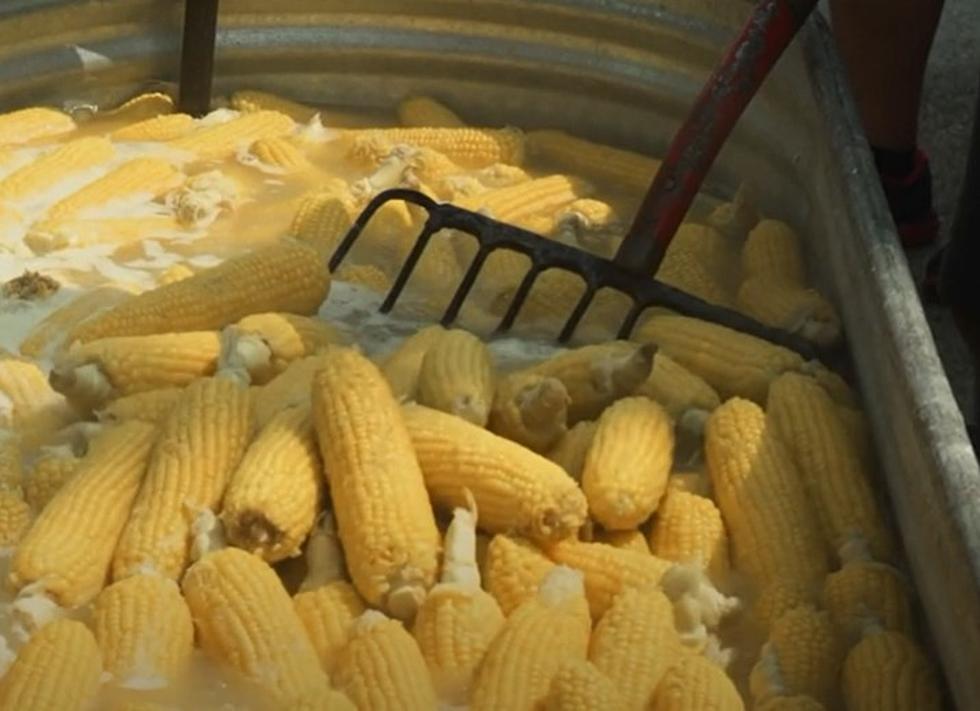 DeKalb’s Corn Fest is Coming Back Later This Month And Still Free