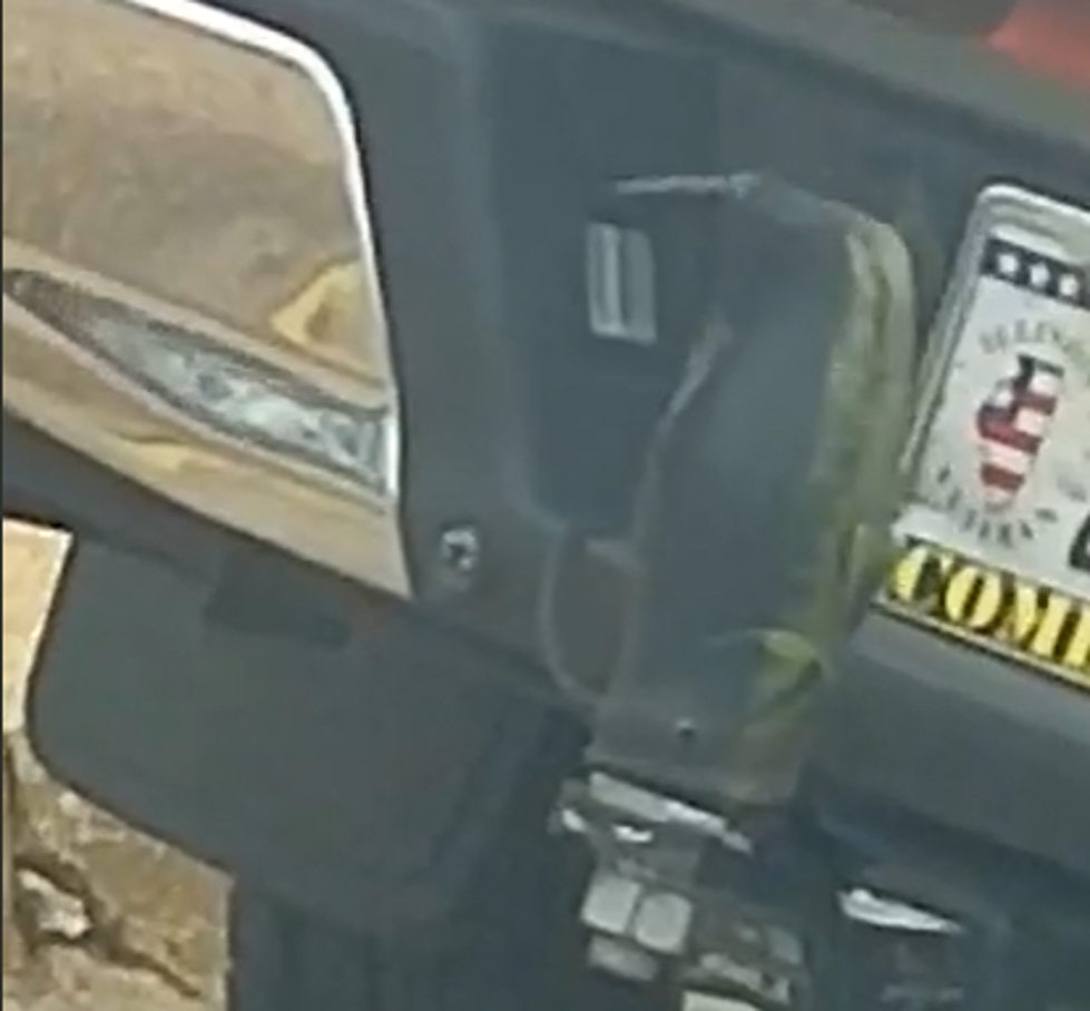Woman Records Live Fish Stuck, Flappin&#8217; on Back of Truck in Rockford? (Video)