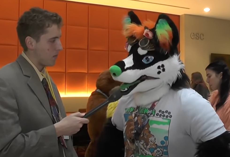 Rosemont, IL &#8216;FurFest.&#8217; Strange Adults That Never Grew up, Dress in Costumes