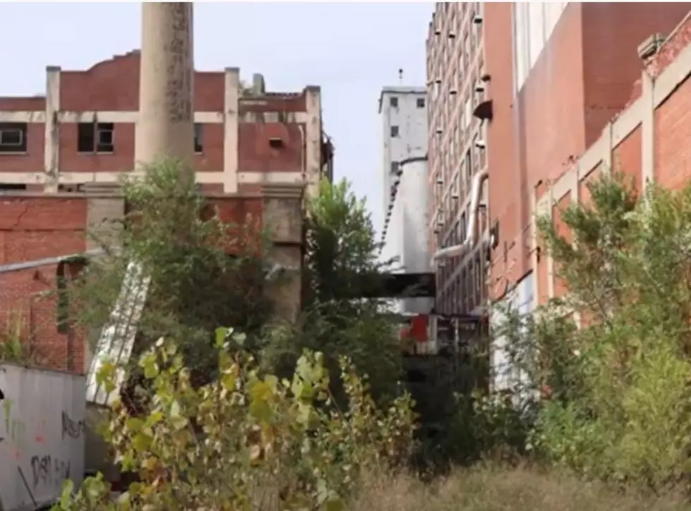 Photo From Lost Vlog YouTube Video
