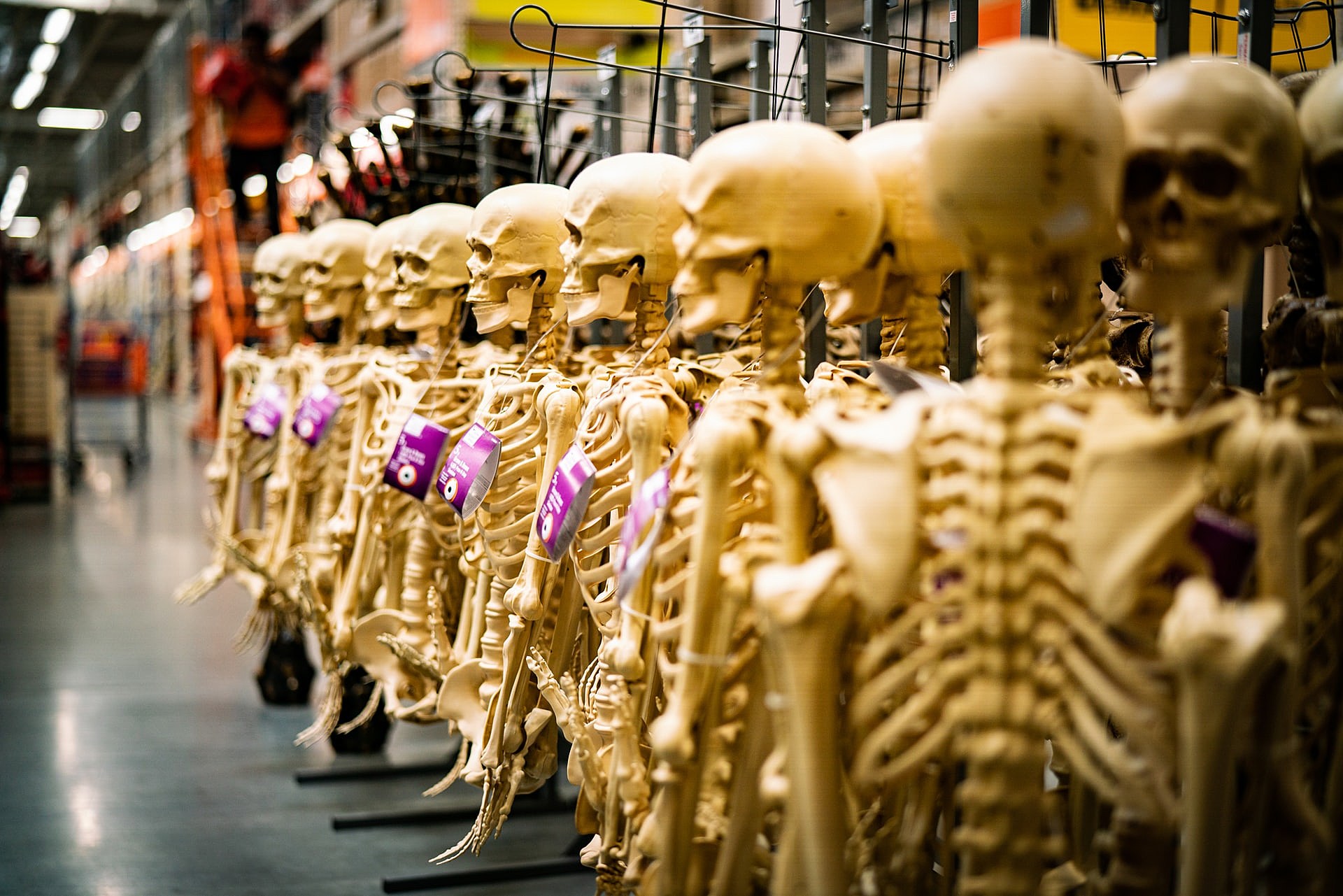 Fans Of Halloween Will Love The Haunted Flea Market In Illinois photo picture