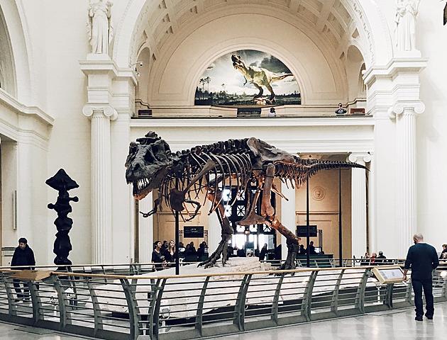The 5 Best Museums In Illinois That You&#8217;ve Never Heard Of