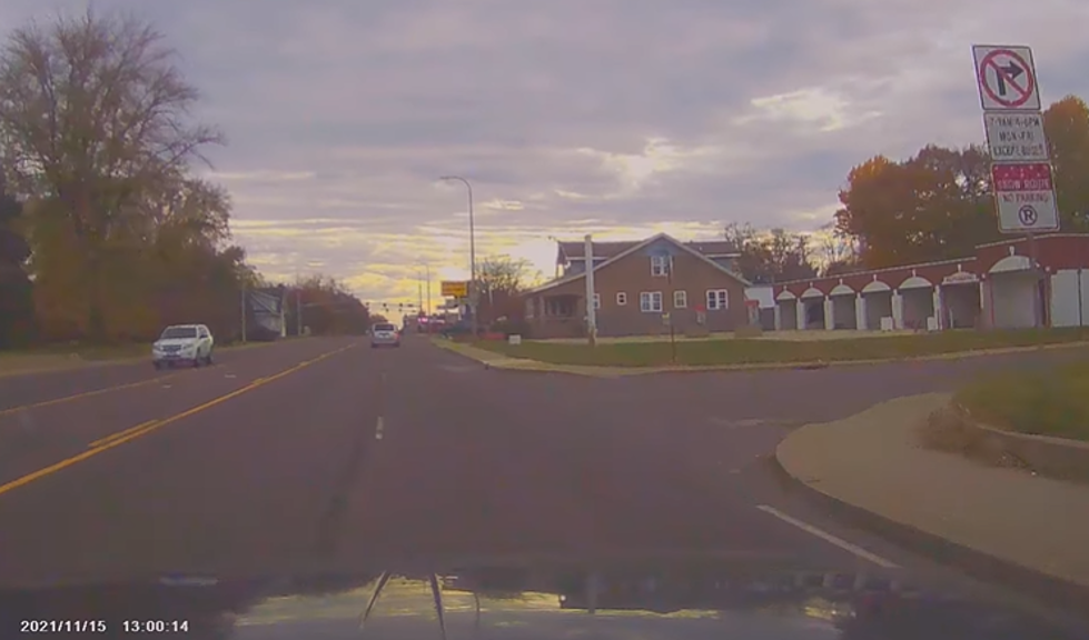 Illinois Man Hits Possum With Car, When Hawk Drops it From Sky! (Video)