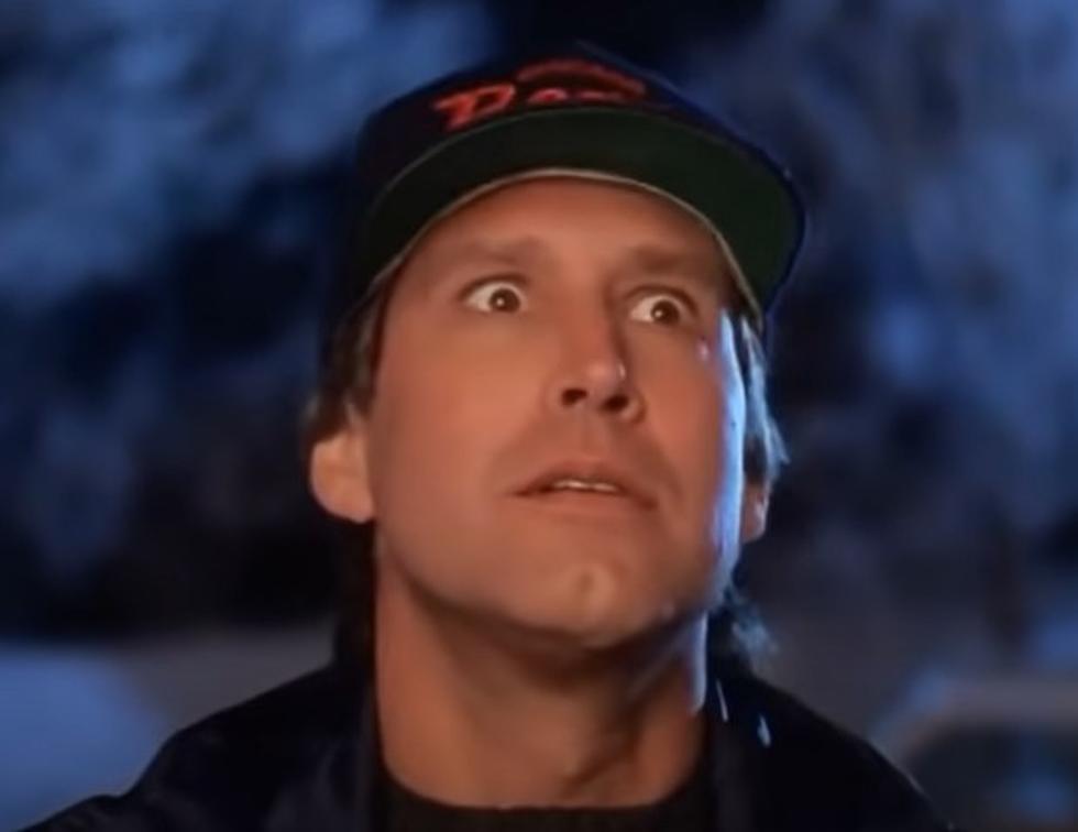 Huge Illinois Holiday Light Display Would Impress The Griswold’s