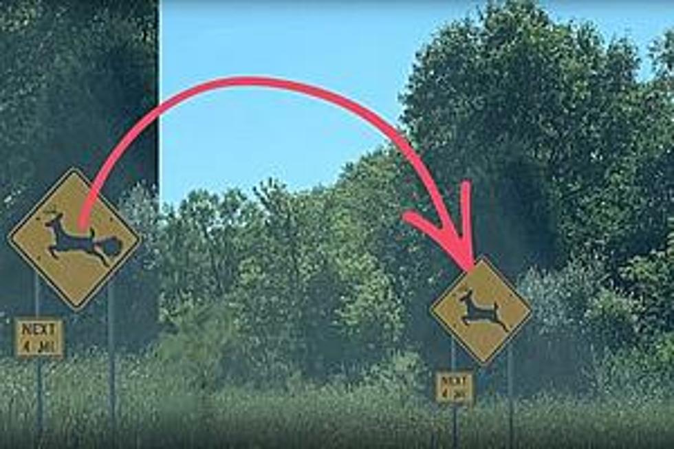 Are There &#8216;Farting Deer&#8217; Signs in Illinois?