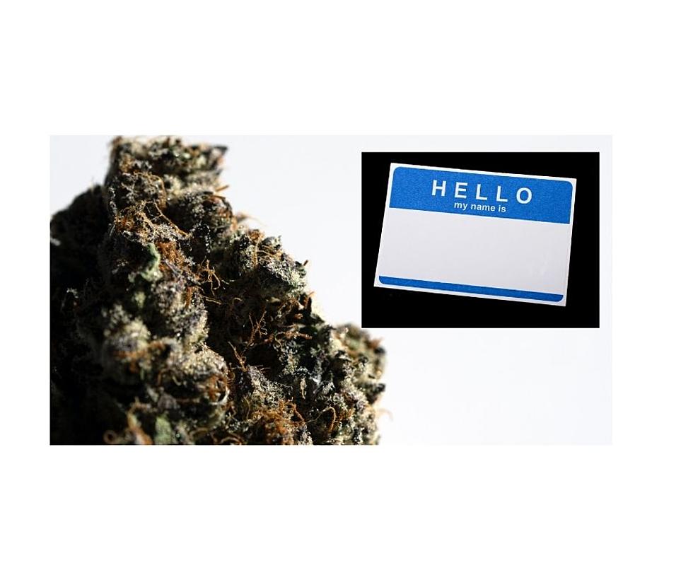 Pot Names Are Hilarious, Here Are Some of The Funniest In IL