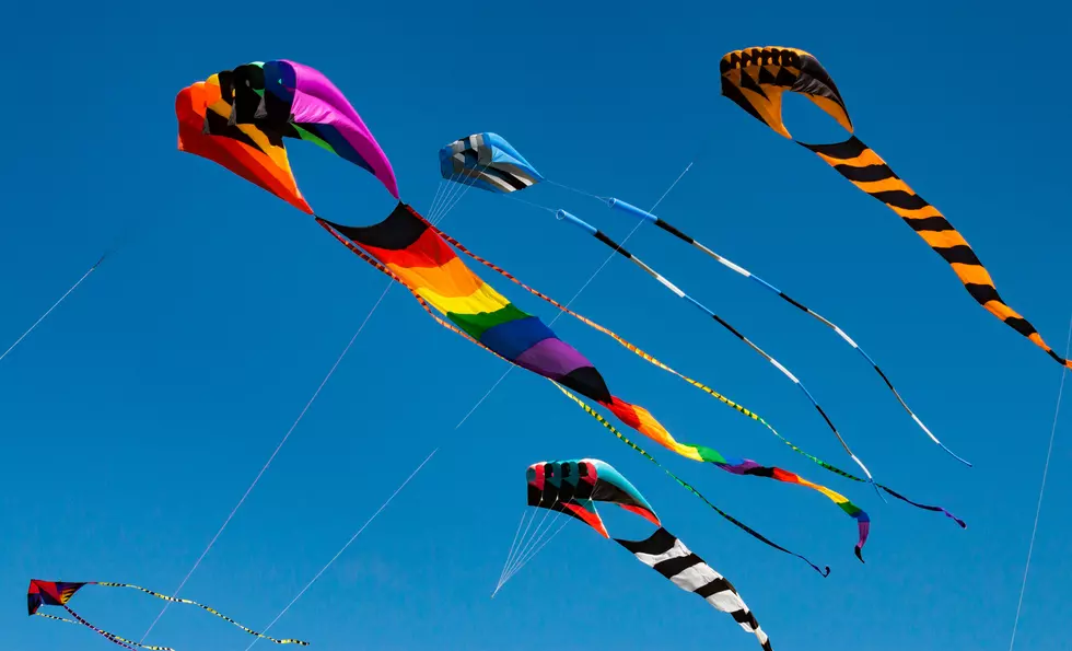 This Wisconsin Festival Encourages People To Say "Go Fly A Kite"