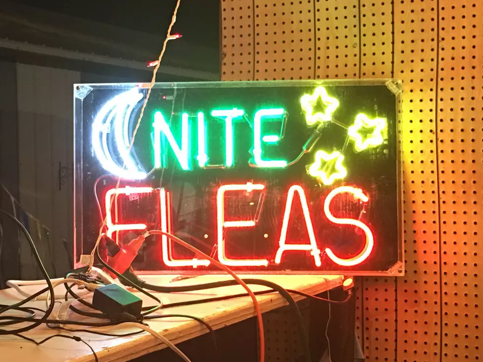 Late Night Flea Market Belvidere, Illinois Facebook Page