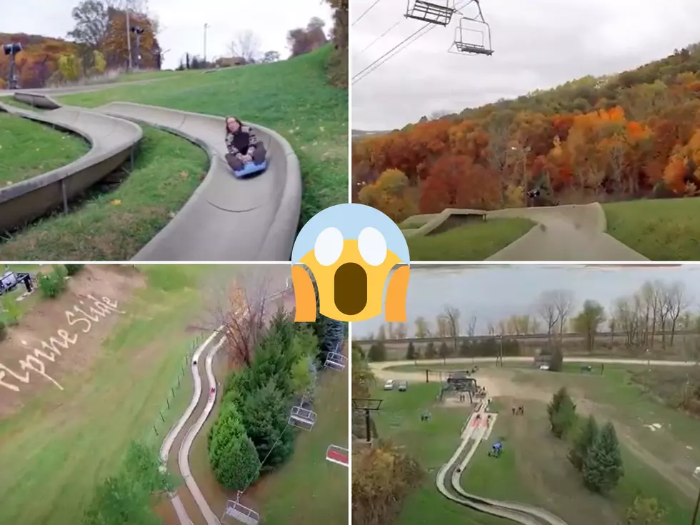 Are You Brave Enough To Take On Illinois’ Mountain Coaster Ride?