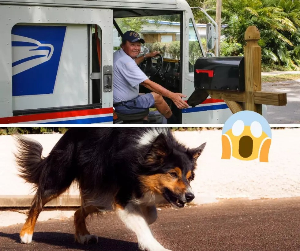 Illinois &#038; Chicago Top Ranked In U.S. For Postal Worker Dog Bites