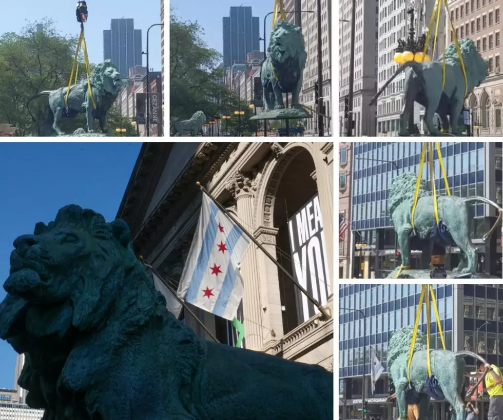 Why Were Illinois' Famous Lion Statues Removed From Art Institute