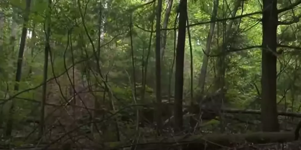 You Can't Even See The Bunker (Photo From YouTube Video)