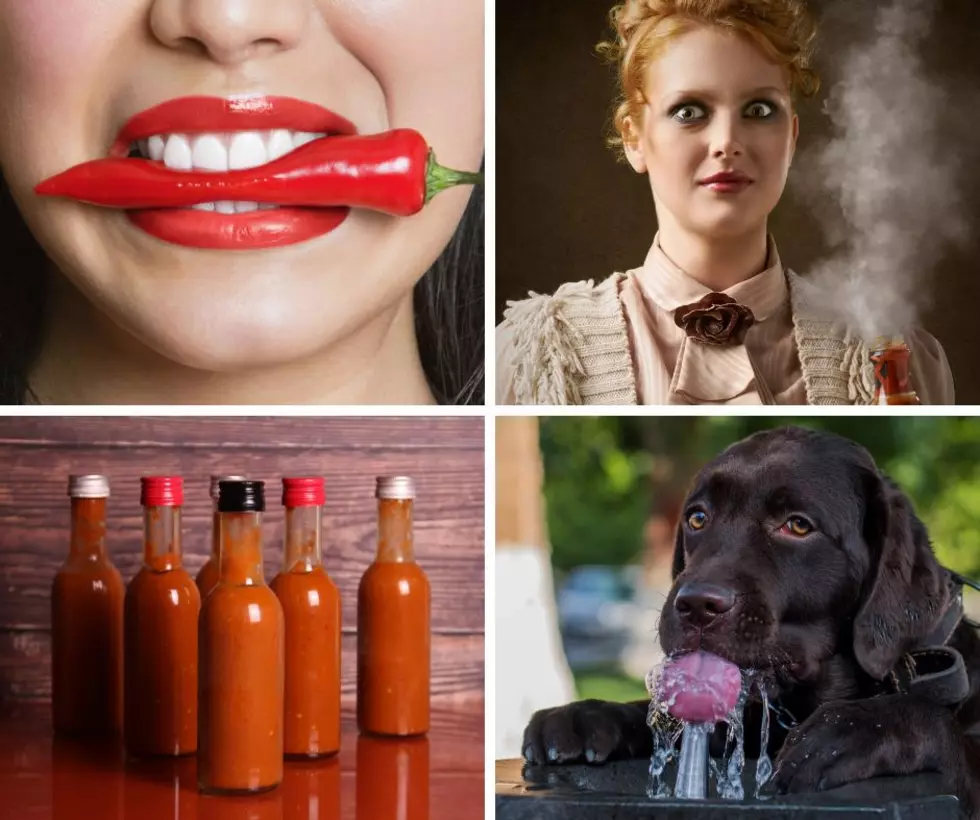 Top Hot Sauce Companies In United States Coming To Illinois Fest