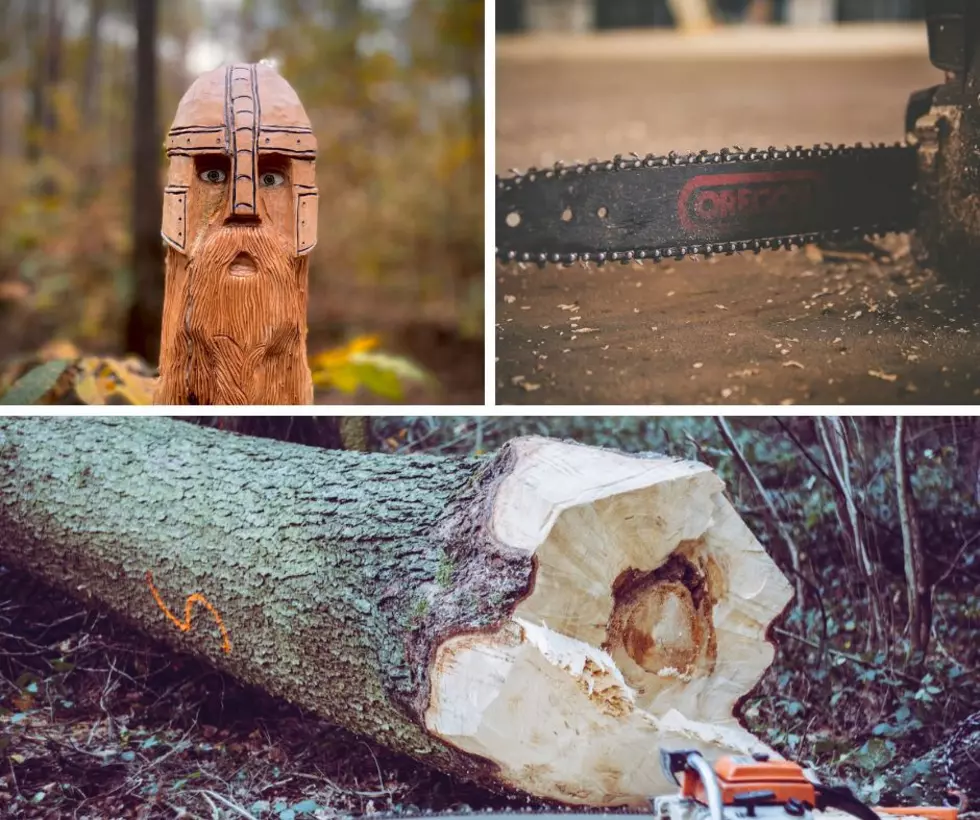 Find Out The Best U.S. Chainsaw Artist This Weekend In Wisconsin