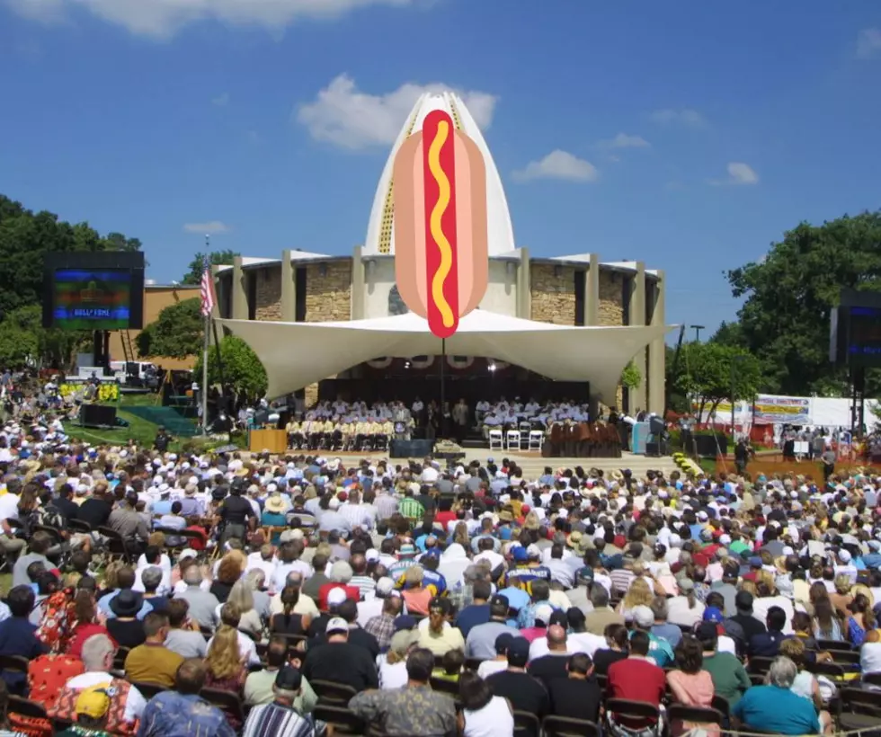 Did You Know There's Hot Dog Hall Of Fame & Illinois Dominates?