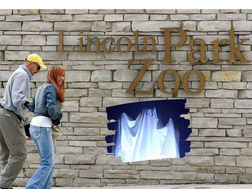 A Popular Zoo Is One Of The Most Haunted Places In Illinois