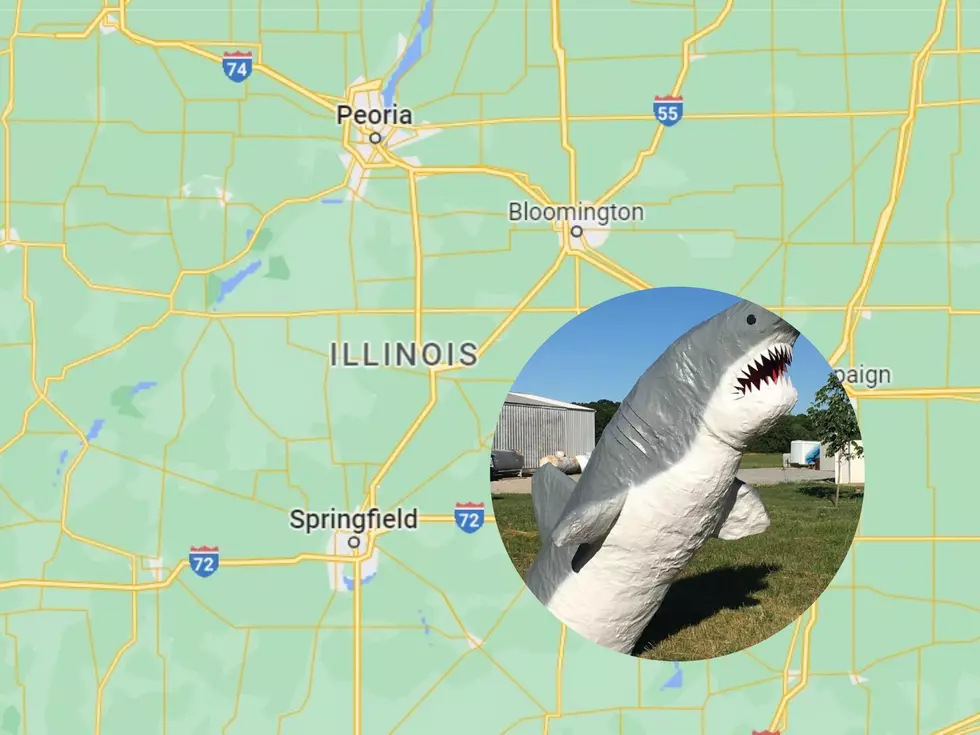 Look Out Jaws Small Illinois Town Has 16 Foot Tall Shark Landmark