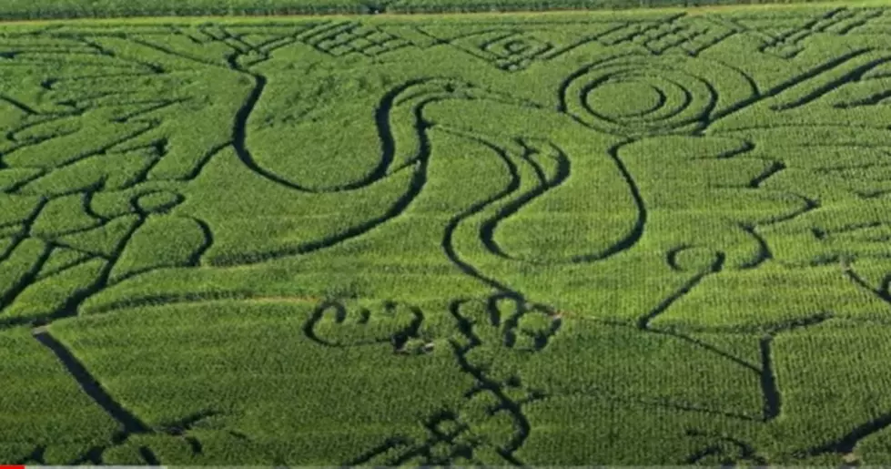 A 100-Year-Old Wisconsin Family Farm has Perfected the &#8216;Corn Maze&#8217;