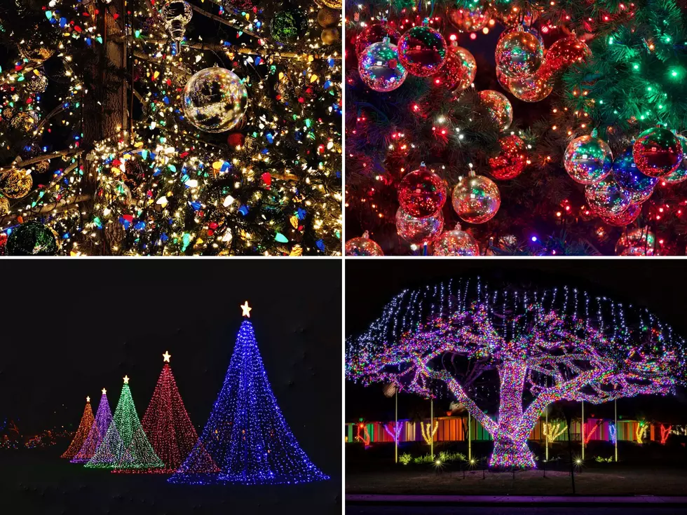 Illinois Is Home To One Of Best Christmas Light Displays In U.S.
