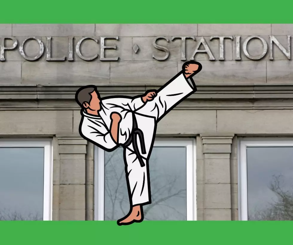 Two Separate Illinois DUI Busts, Lead to Karate Kid Show at Cop Shop