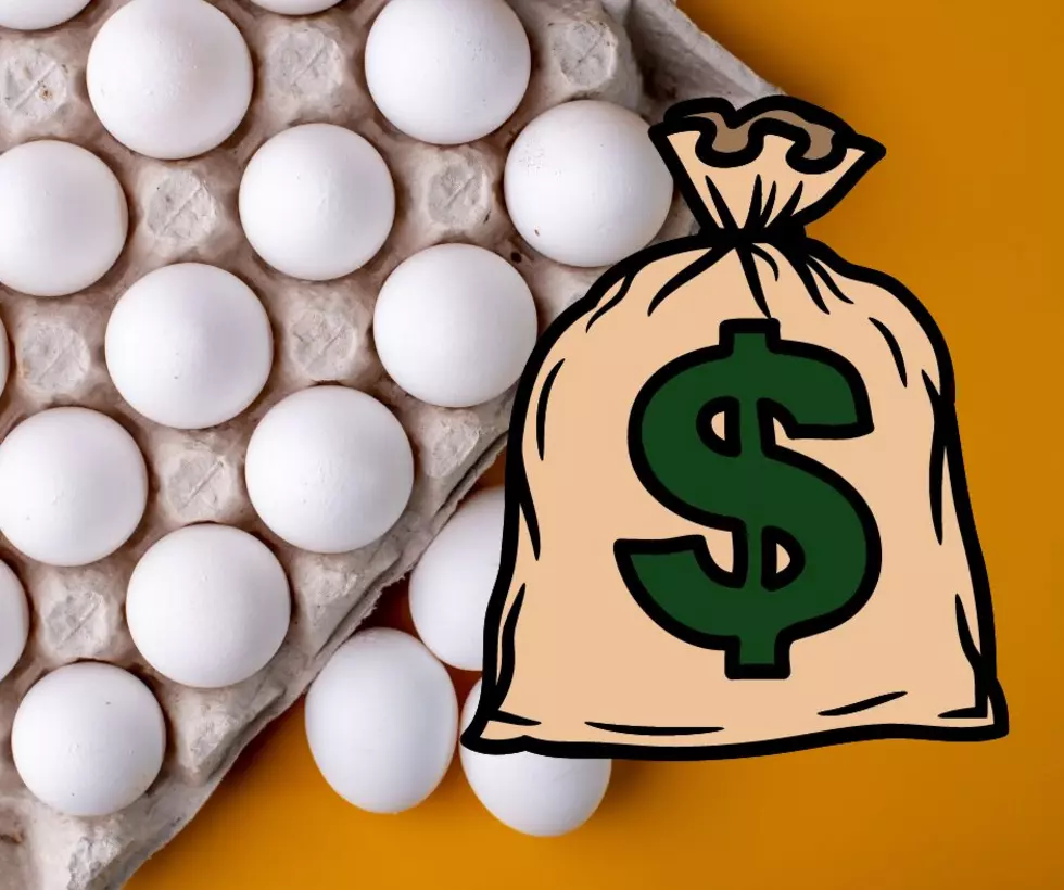Eggs Cost What in Illinois in 2023??? Here’s Why They Are So Damn Expensive