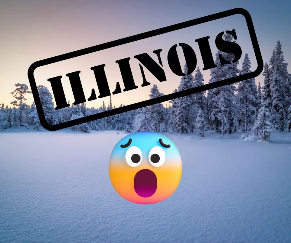 The Most Extreme Temps and Snowfall Amounts in Illinois History, Will Squall You