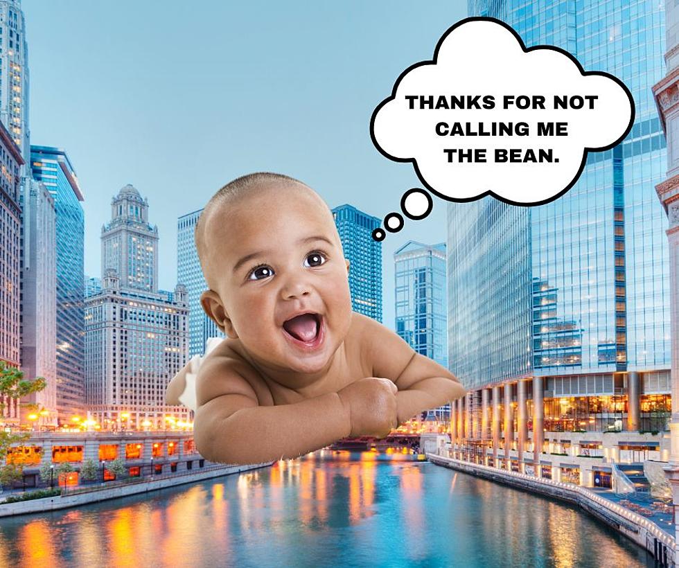 Is An Illinois Landmark Inspiring Parents to Name Their Baby This?