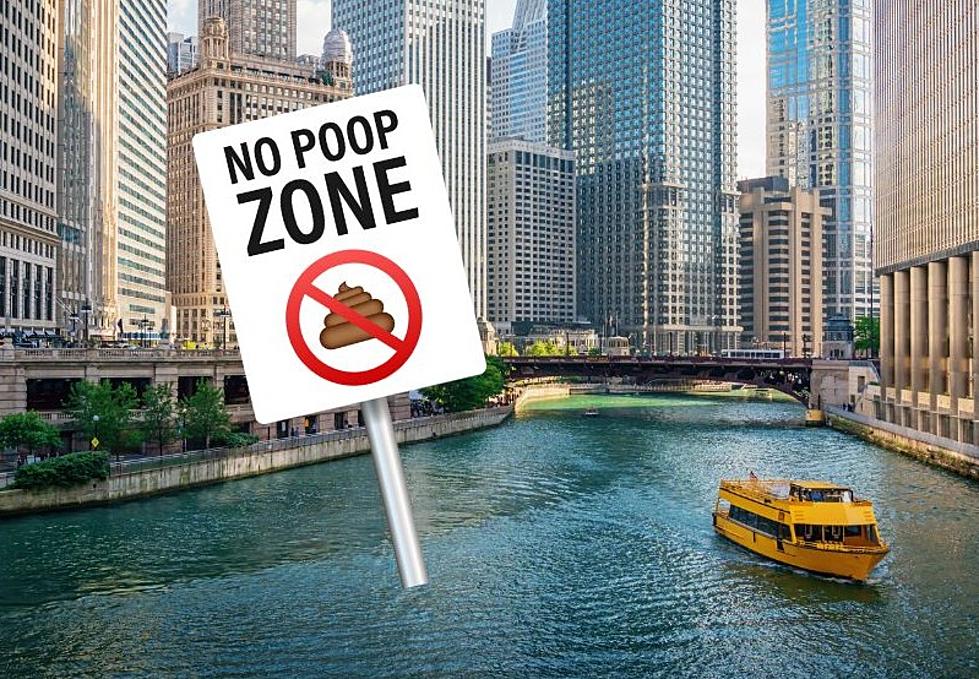 Rock Band Returns to Chicago This Summer After Dumping Poop on People in 2004