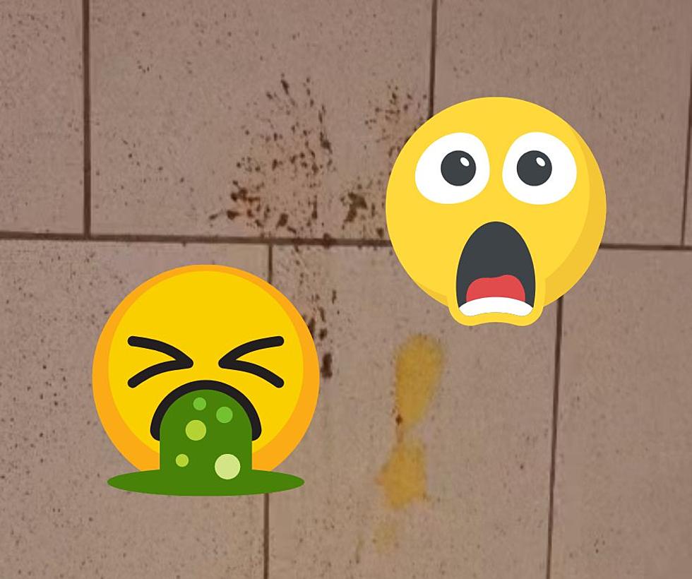 This Illinois Mall Has The Most Disgusting Bathroom (Video)
